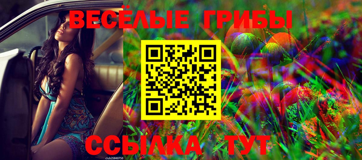Галлюциногенные грибы мицелий Керчь